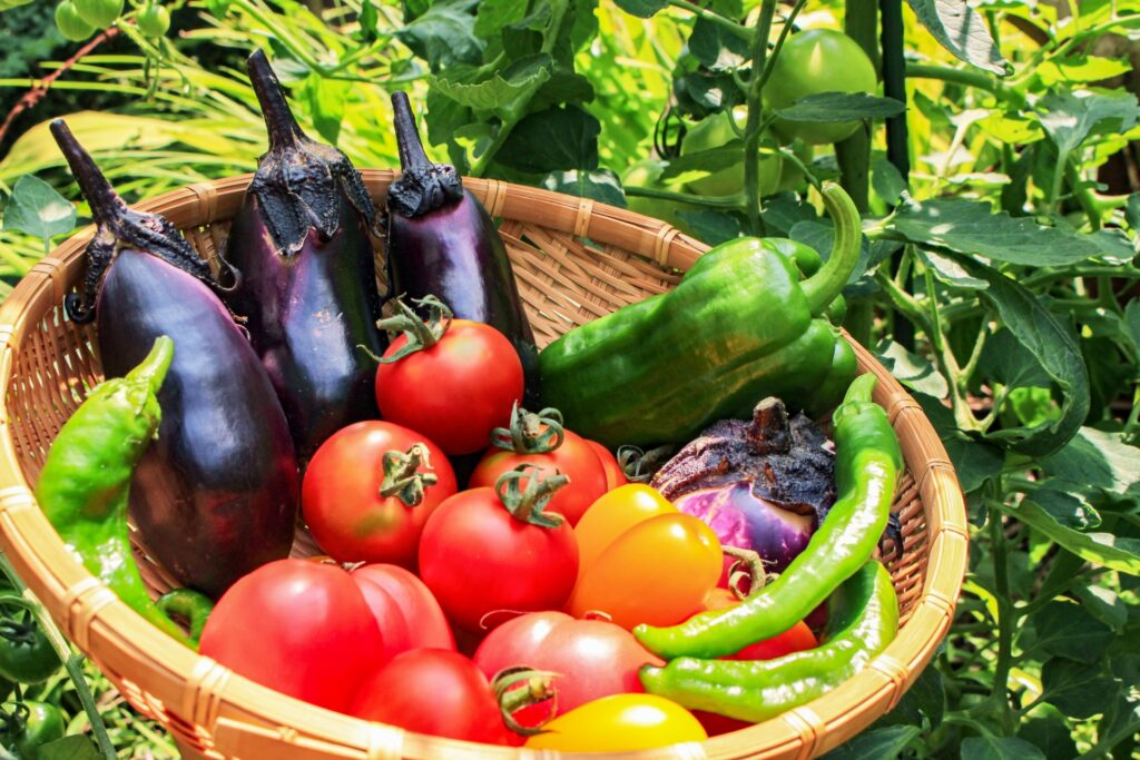 摂らなきゃ損!? 夏野菜の驚くべきパワー